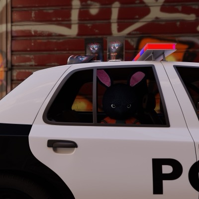 Mad Rabbit Bag Intro Test