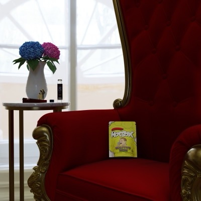 HB Mothers Day 23 Render