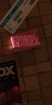 Soapberry Bag Art v7